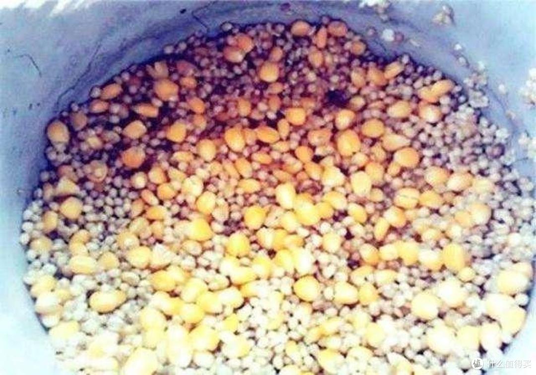 夏季水库钓青鱼 把握好这3个关键点 助你轻松钓获大青鱼 垂钓用品 什么值得买