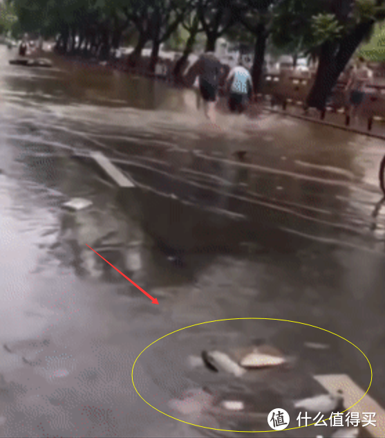 大雨后，广东一街道大鱼乱窜，当地人：鱼太多，抓不过来