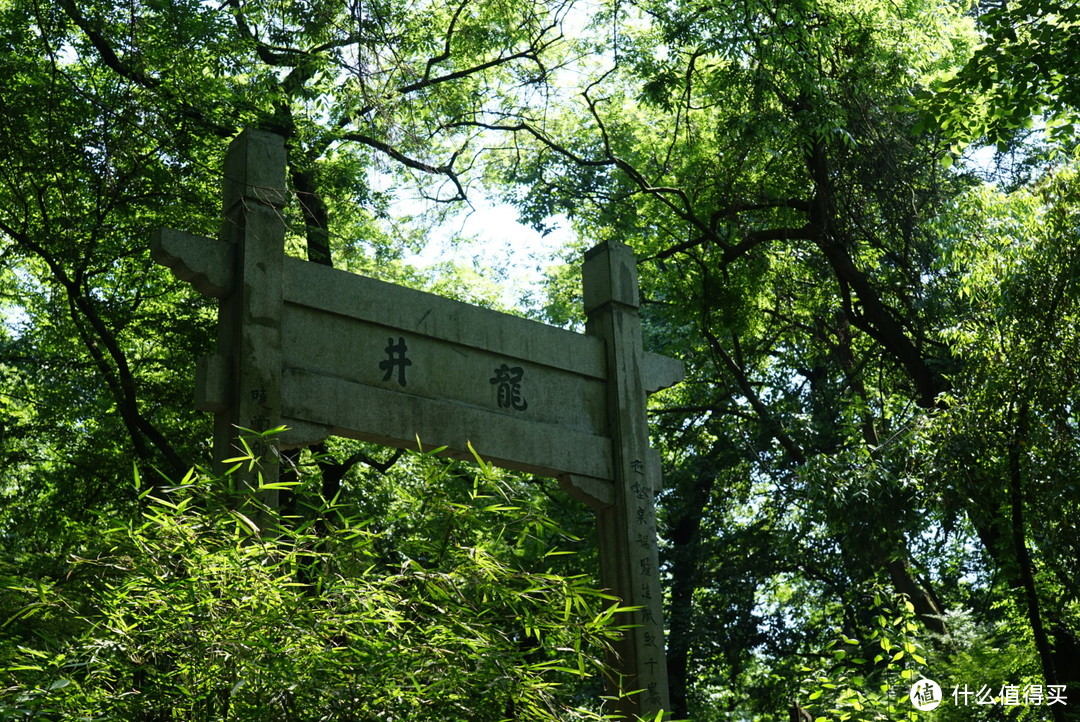 杭州｜黑珍珠餐厅｜涤心沼