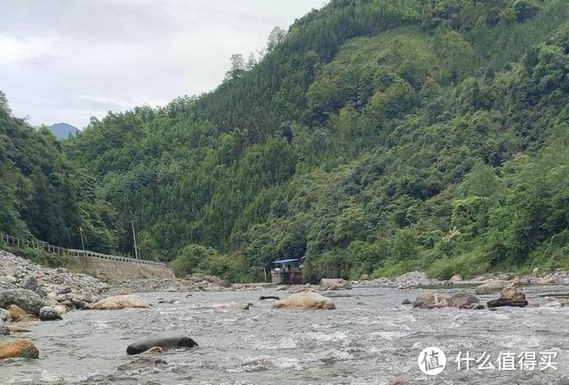 浙江一钓鱼人钓上“红肚鱼”，网友：长得怪，判得快，赶紧放了