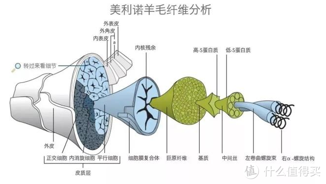 有病吧夏天买羊毛袜？我擦！SmartWool只要四十多？！来一双~