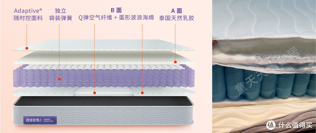 菠萝斑马床垫全网首测，超详细拆解