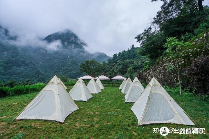 第一次去露营，618 期间该如何挑选合适的帐篷？