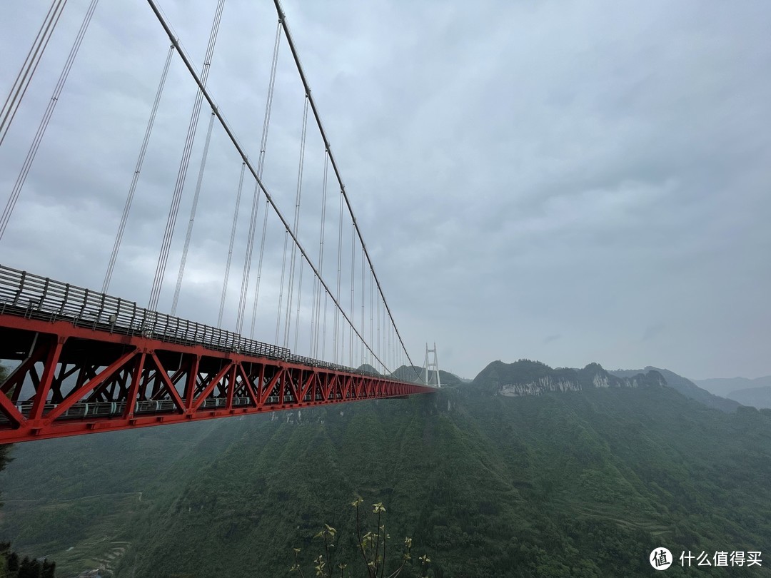 大桥全景