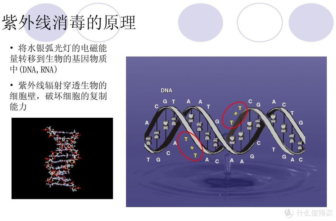 晾衣架又丑又大，功能又那么多，你真的选对了吗？四季沐歌德尔菲系列评测