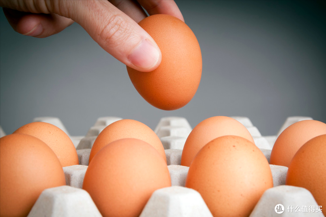 买鸡蛋时，遇到红皮和白皮选哪个？搞清楚其中的区别，别再买贵了