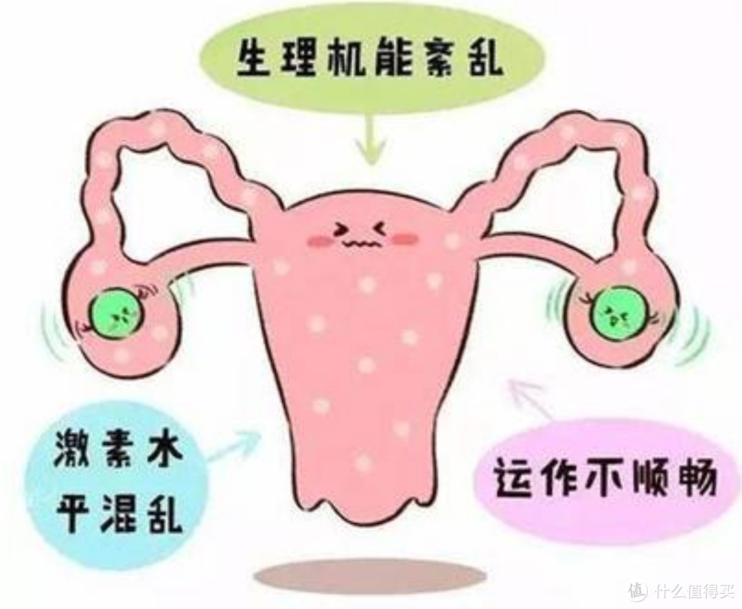 女人的卵巢有什么作用防止其衰老的方法