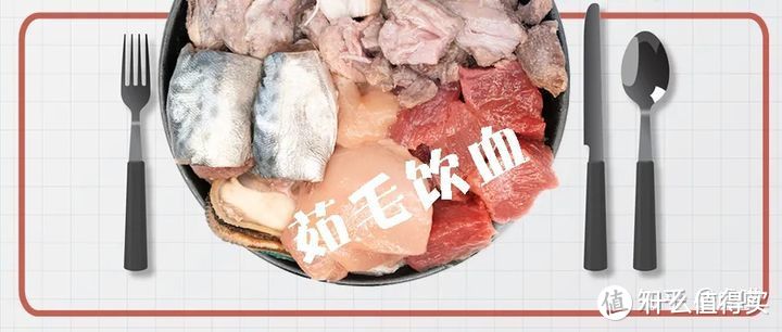 能否给喵咪喂猪肉？这些知识点补上