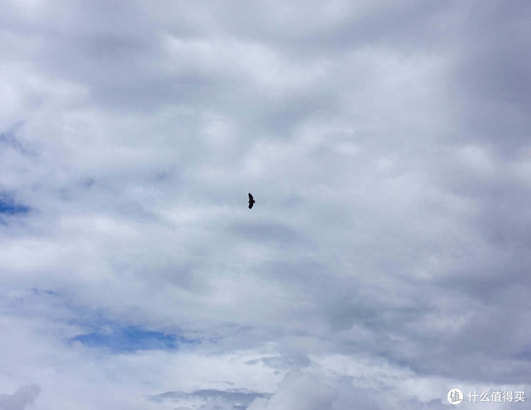 雨季川藏线骑行之游记篇（三）西藏自治区如美镇-波密