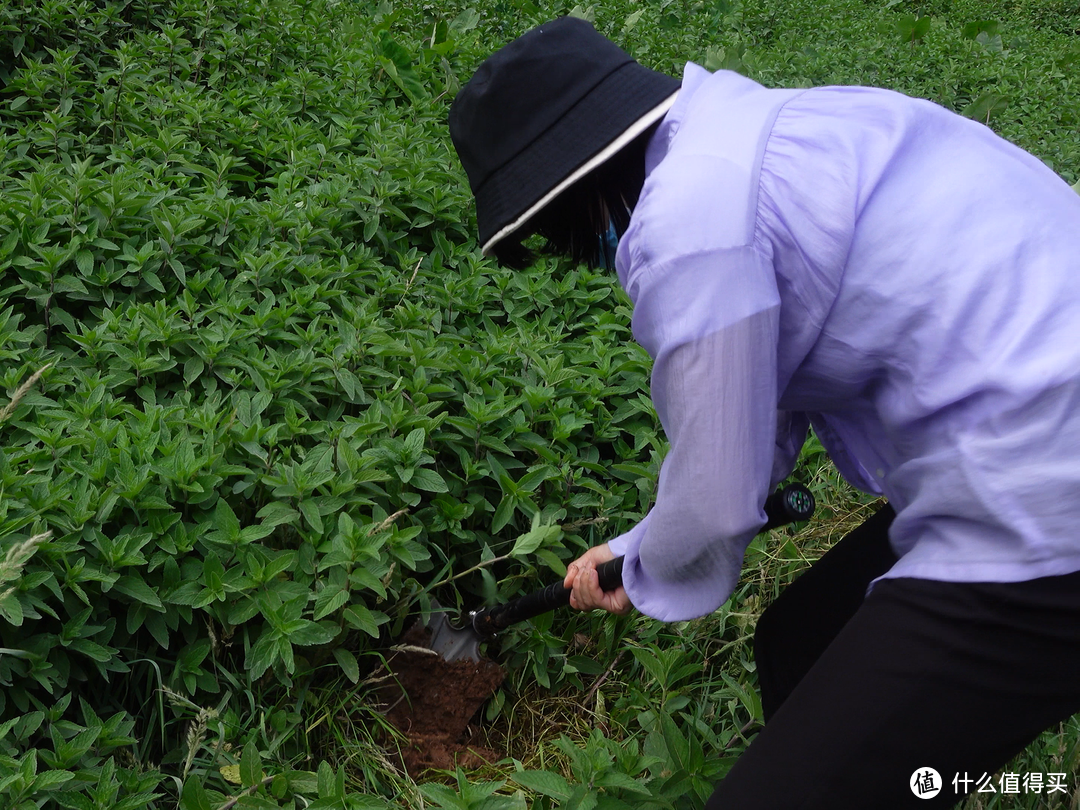 我的自用车品分享第二弹：夏日自驾游装备