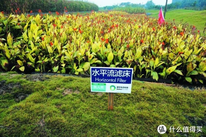 阳澄湖吃大闸蟹的地方哪里好