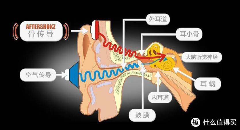 佩戴舒适,运动更安全:韶音 AfterShokz OpenMove AS-660骨传导耳机评测