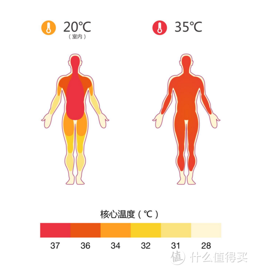 大夏天30℃+啦，遛狗你全副武装，但狗狗中暑知多少？