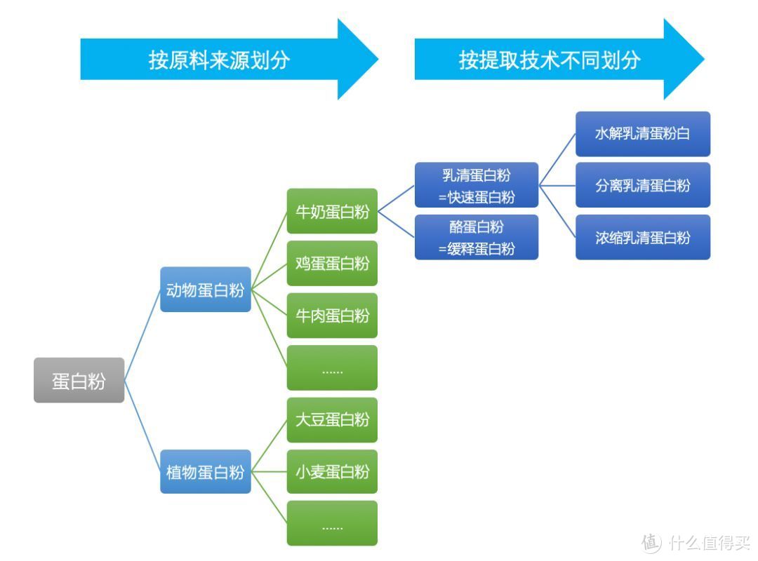 健身房练出来都是“死肌肉”，我喝蛋白粉我也行！那些关于蛋白粉的误解！