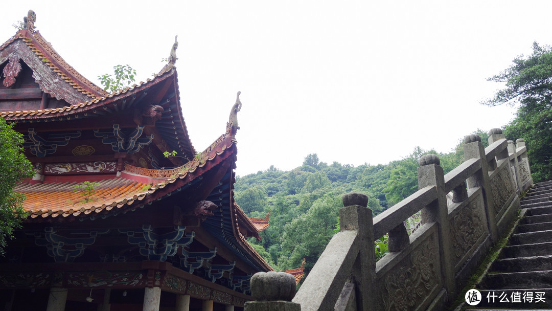 才饮长沙水，又食武昌鱼|长沙篇