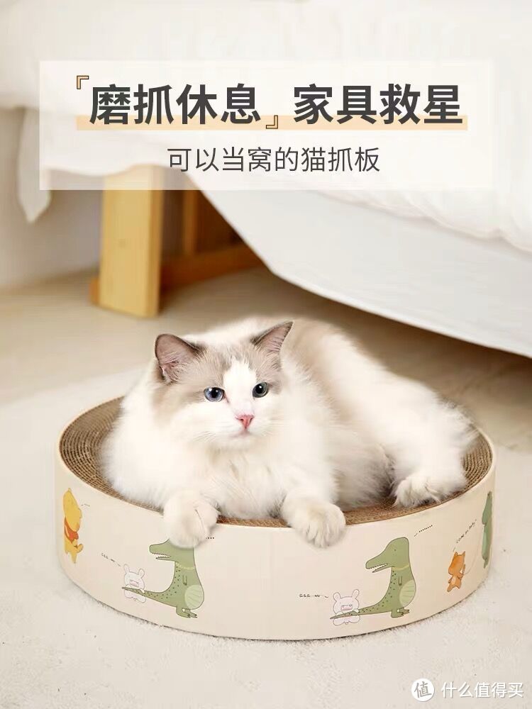 保姆级新手养猫攻略：养猫前期该准备哪些东西？