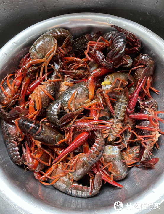 不翻车的家常菜谱|卤牛肉/炖牛腩/麻辣小龙虾/腌咸蟹食谱分享