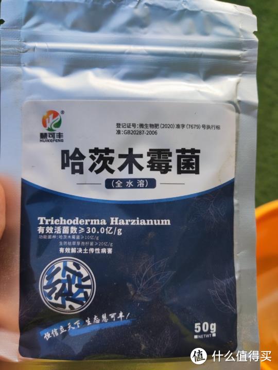 露台种花种菜的前期准备