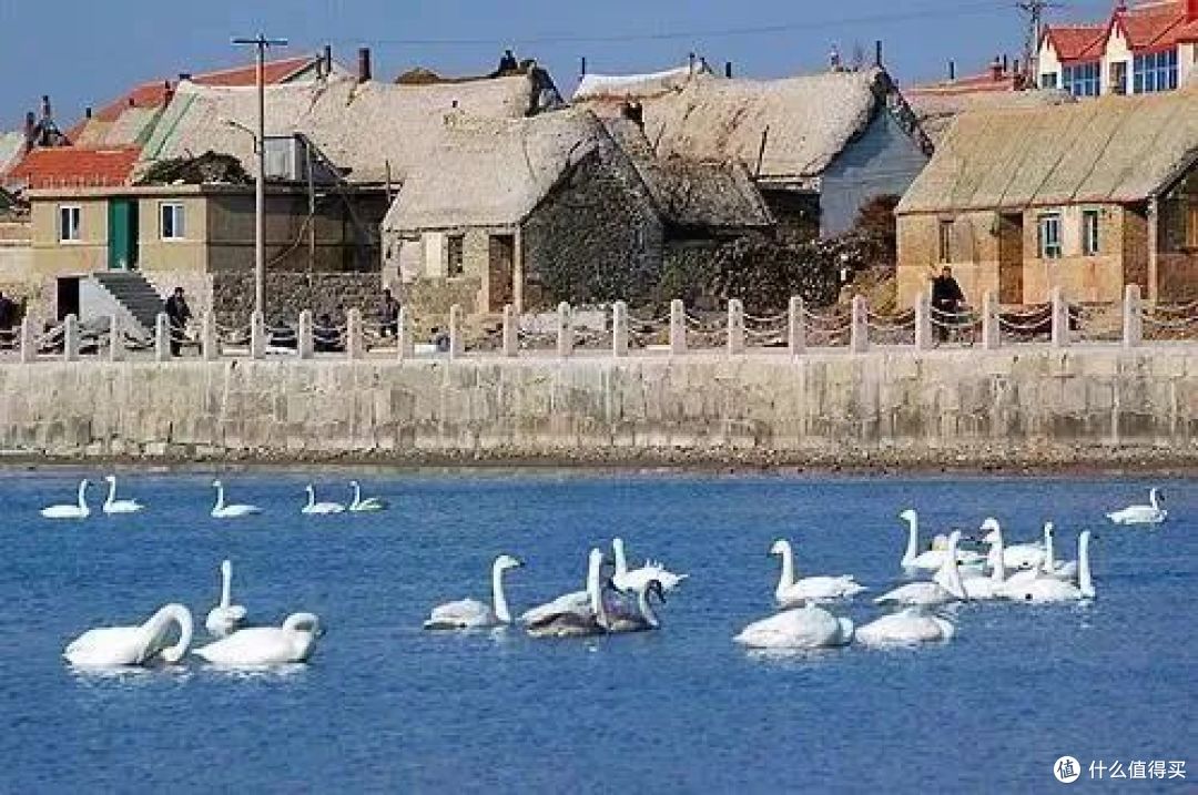 从元阳梯田到威海荣成,看看有趣的「茅草屋酒店」