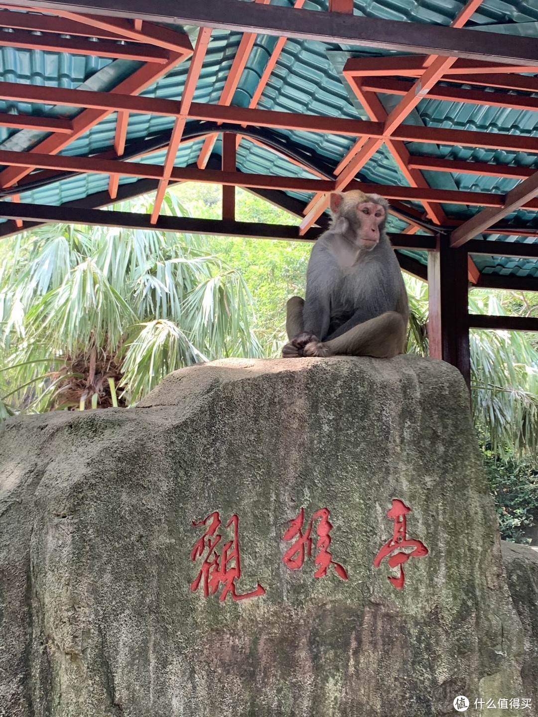 海南岛自驾游，泳池别墅，游艇出海，纯玩方案，多图，详细流程攻略附出游必备好物