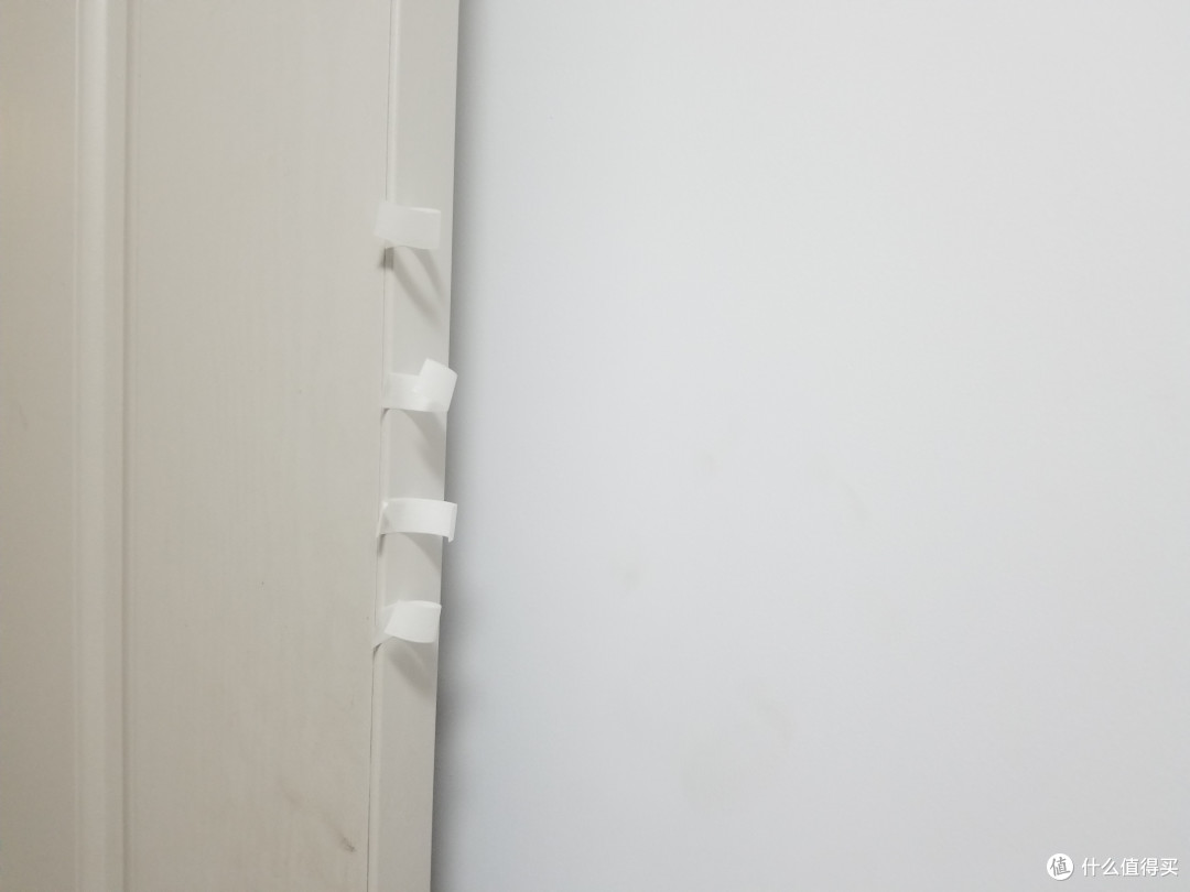 为了鸡娃,猫和我都操碎了心