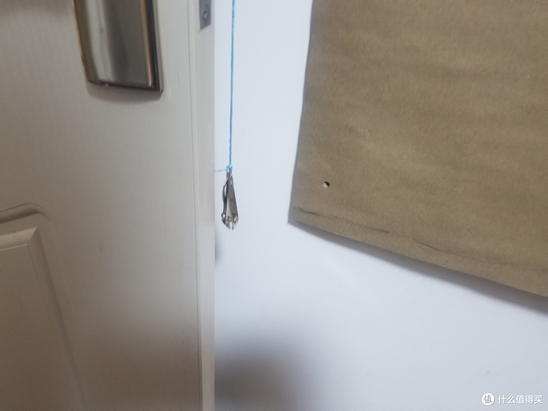 为了鸡娃,猫和我都操碎了心