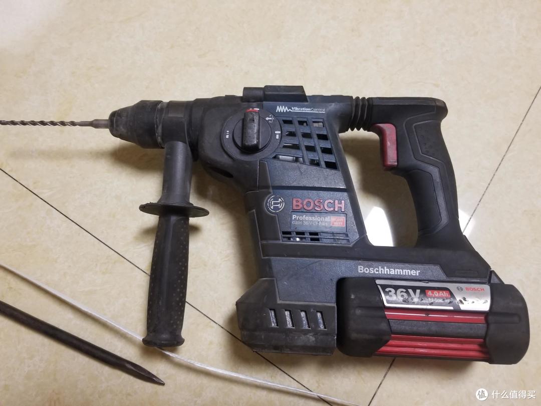 为了鸡娃,猫和我都操碎了心