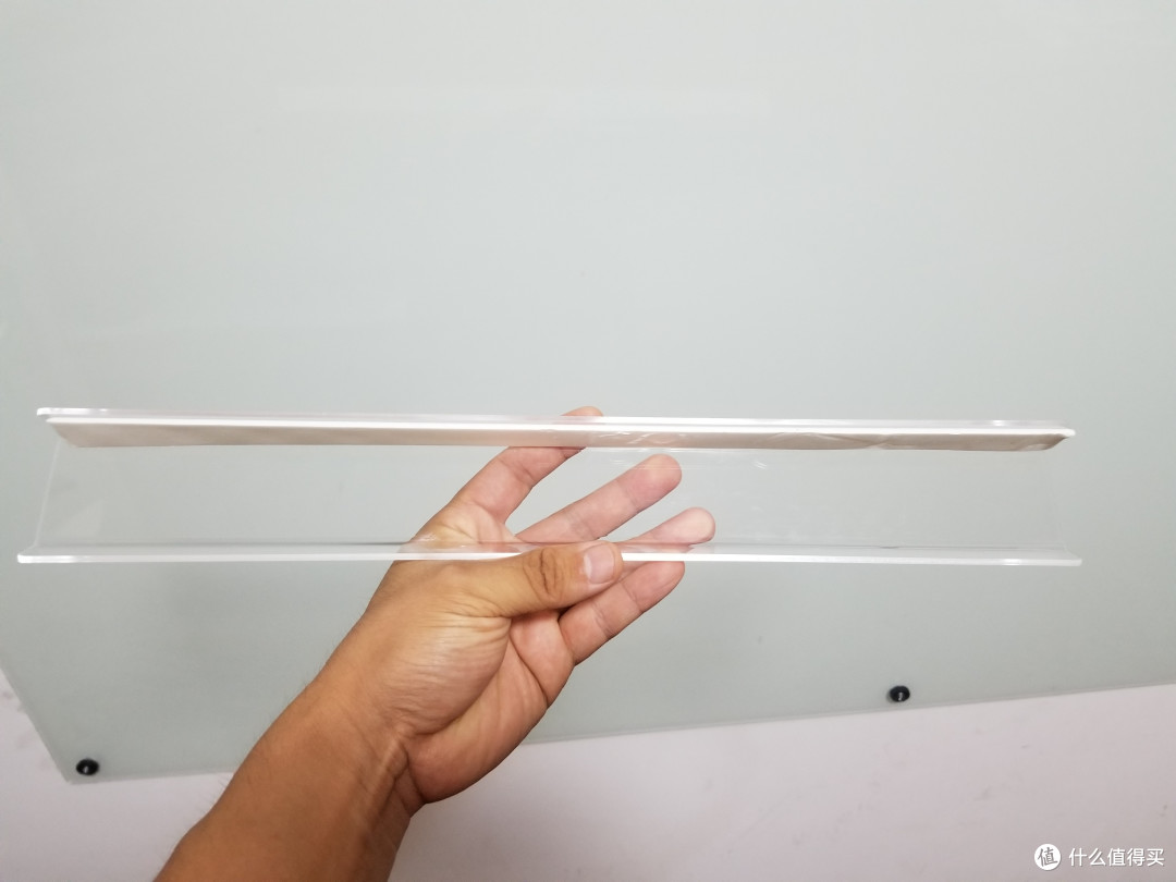 为了鸡娃,猫和我都操碎了心