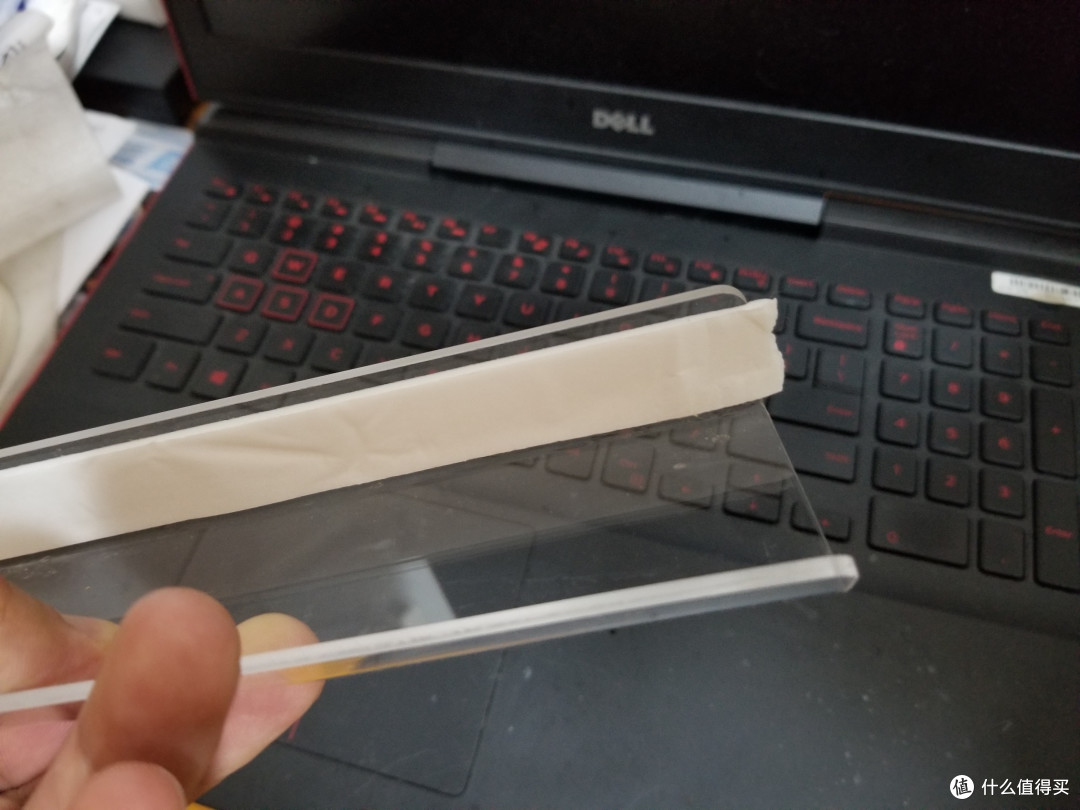 为了鸡娃,猫和我都操碎了心