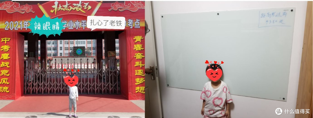 为了鸡娃,猫和我都操碎了心