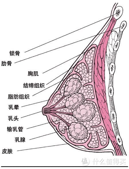 大部分女性的追求，往往就是这么容易被收割！