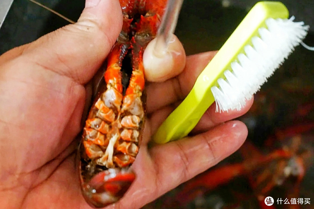 小龙虾应该怎么洗？活用“4步骤”，不仅干净无淤黑，焖煮更入味