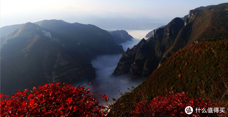 夏日好去处，三峡游轮游长江，一文告诉你需要注意的地方，以及途径美景