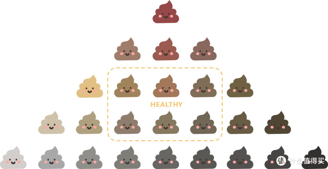健康的便便（图片来源：丁香医生）