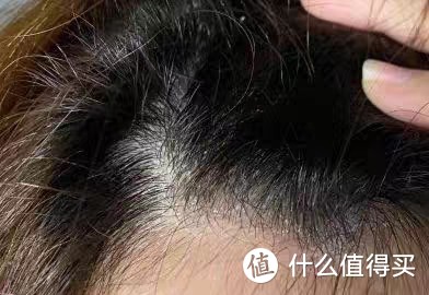 对抗头屑我用了几款洗发水