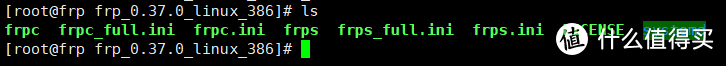 cd frp_0.37.0_linux_386