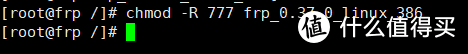 chmod -R 777frp_0.37.0_linux_386