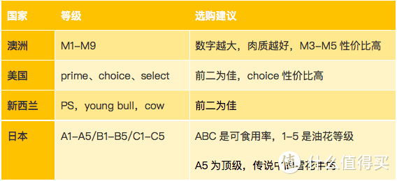 50元和500元的牛排差在哪？看完这篇终于懂了！