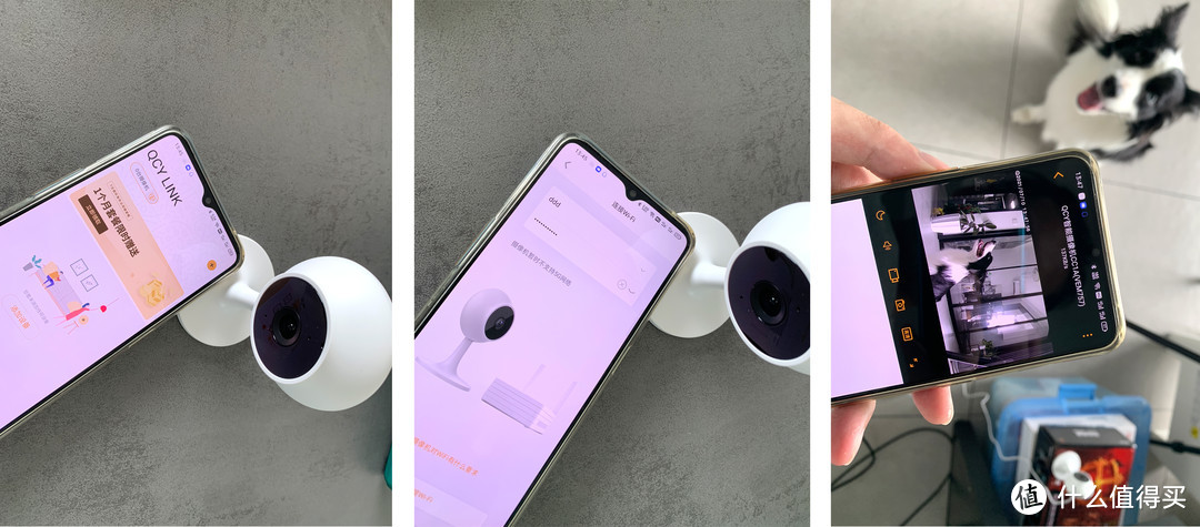 居家必备，上班也能云撸狗，QCY CC1A智能摄像头开箱体验