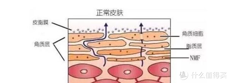 油田肌大作战！盲撸不踩坑，12款男士清爽好物良心推荐！