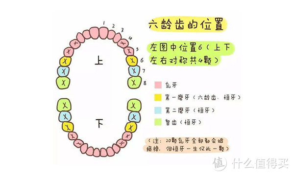 口腔健康要从娃娃抓起，超全的儿童护牙指南，不用到处找资料了