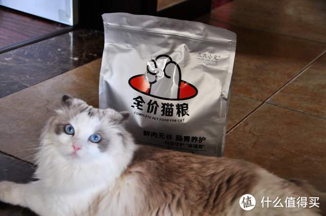 守护主子的玻璃胃？三只小宠物国产猫粮测评