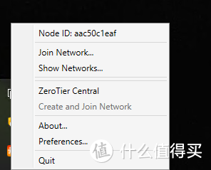 无公网IP，unraid下docker搭建zerotier​来做内网穿透