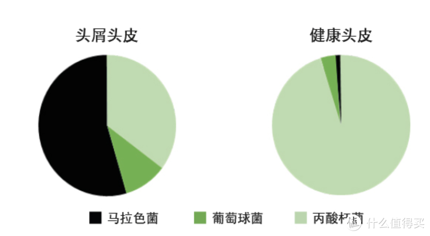 拒绝“发如雪”！10款宝藏去屑洗发水推荐，一起打赢头皮屑反击战！