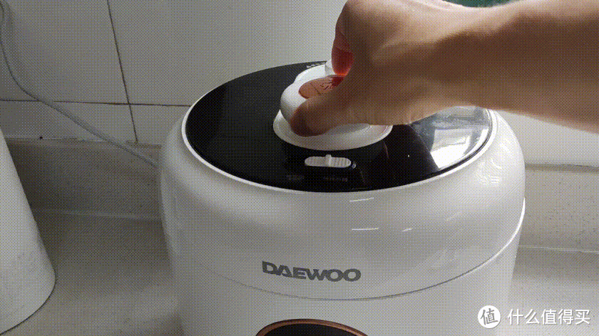 巧用电压力锅，做简单干饭人——附夏日美食分享