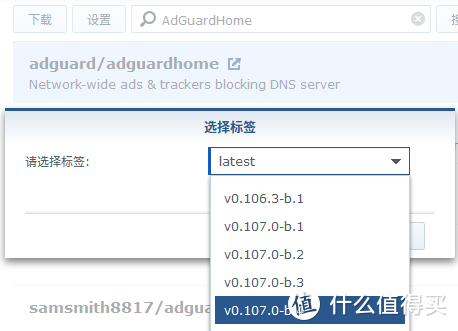 群晖抄作业SmartDNS+AdGuardHome实现安全上网加速与去GG