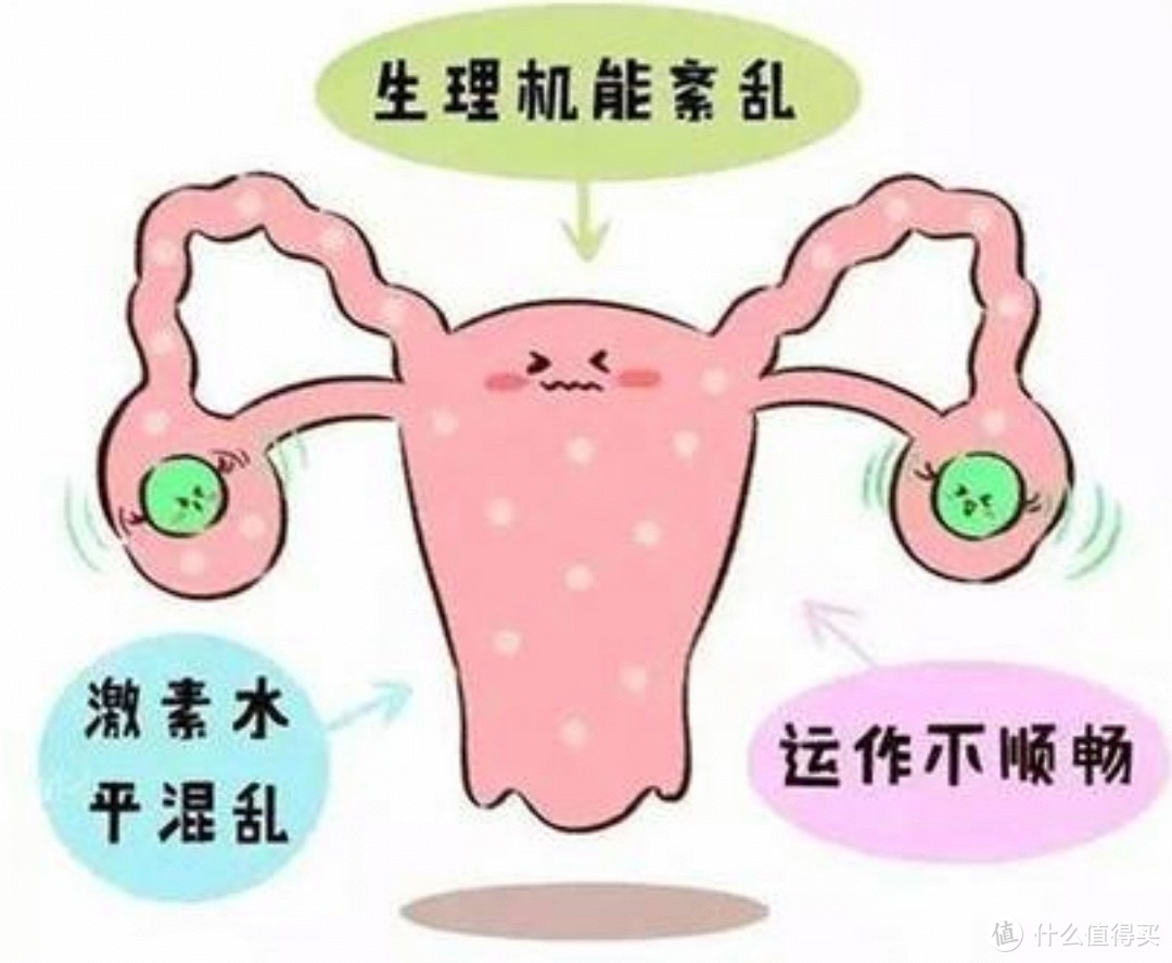 卵巢衰老：认识卵巢基质 - 知乎
