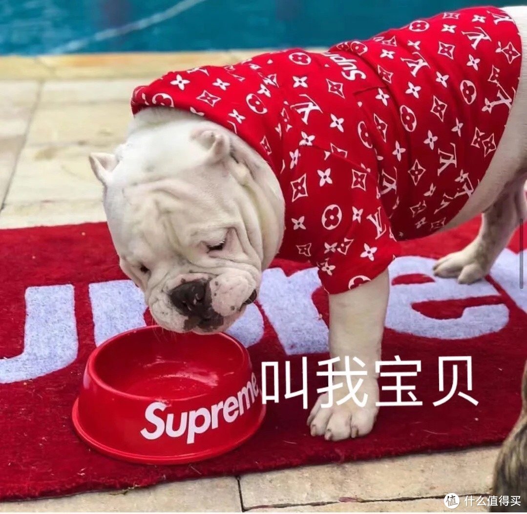 BURBERRY、Supreme、狗牙包跟宠物也有关？破圈时尚联“萌”，给宠物打扮你愿意花多少钱？