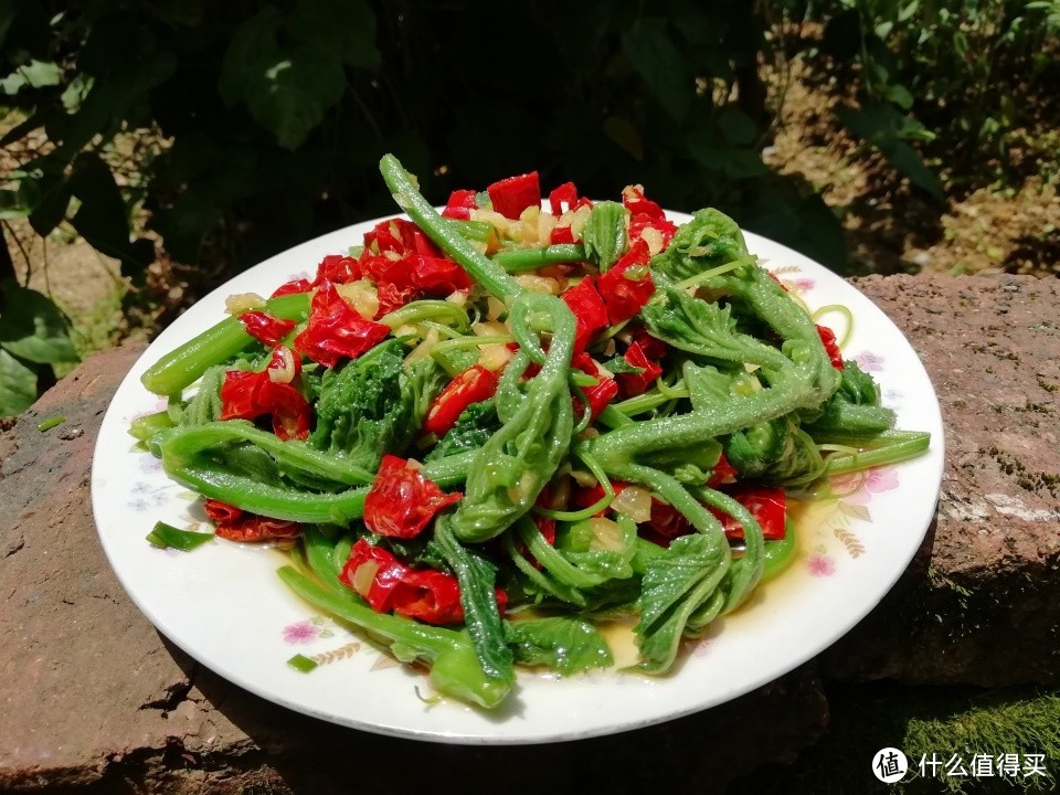 这菜浑身都是宝，夏天要常吃，对咳嗽特别好，不懂吃真的亏了！