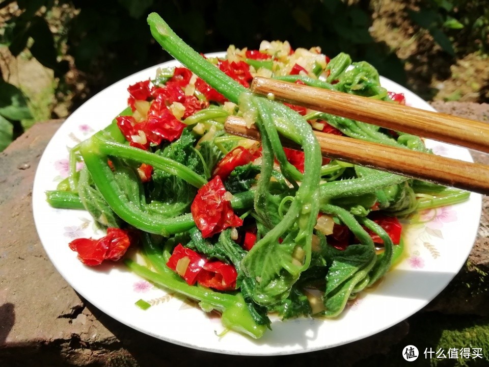 这菜浑身都是宝，夏天要常吃，对咳嗽特别好，不懂吃真的亏了！